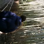 Hunter Kim - @hunnerkimchee - Instagram