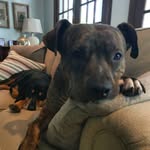 hunter kimbrough - @kimjungfly13 - Instagram