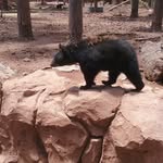 HunterKimbrough - @hunterkimbrough2765 - Instagram