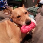 Hunter Knutson - Facebook