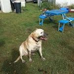 Hunter Koenig - @hunter.koenig - Instagram