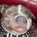 Hunter Koenig - Facebook