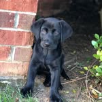 @hunter_kohlenstein - Instagram