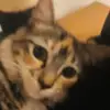 huner0756 - @hunter_kolbert - TikTok