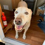 Hunter Koontz - @hunteralkoontz63 - Instagram
