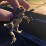 Hunter Lacey - @swirlllzilla - Instagram