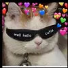 Hunter Lacey - @lacey_snips - TikTok