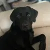 Hunter lacey - @hunter.lacey1 - TikTok
