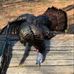 Hunter Mclaughlin - Facebook