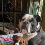 John-Janet Hunter LeClair - @grammasworkshop - Instagram