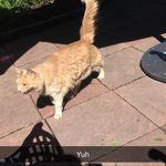 Hunter Ledbetter - @hunter_bedwetter - Instagram