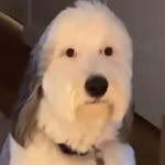 Hunter Lees - @hunter.fleas - Instagram