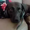 Hunter lees - @hunter.lees69 - TikTok