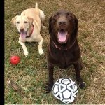 Hunter LeMaster - @hunterlemasterr - Instagram