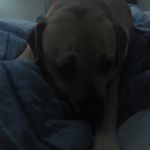 hunter Lemaster - @stormtrooper578 - Instagram