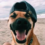 Hunter Levy - @phat_boi_hunter - Instagram