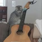 Hunter Light - @hunterlight80 - Instagram