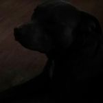 Hunter Lightsey - @lightseyhunter - Instagram