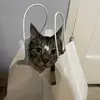 hunter lowe - @hunter.lowe - TikTok