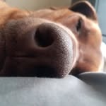 hunter mackay - @hunter87371 - Instagram