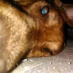 Hunter Mackay - Facebook