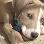 Hunter 😬 - @hunter_masten - Instagram