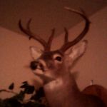 Hunter Matthews - @hunter7138 - Instagram
