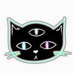 Hunter McCartney - @the_cat.god - Instagram