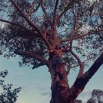 Hunter McHugh - @hunter_mchugh02 - Instagram