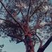 Hunter McHugh - Facebook
