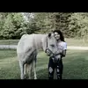 huntermelton3 - @huntermelton31 - TikTok