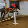 Hunter Middleton - @hmiddleton20 - TikTok