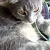huntermiddleton95 - @huntermiddleton95 - TikTok
