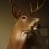 Hunter Miller - @hunter.miller86 - TikTok