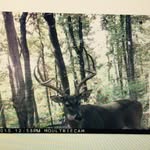 Hunter Mize - @buckmadness3600 - Instagram