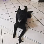 Hunter Moreno - @hunter_more17 - Instagram