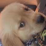 Huntermorrell - @huntermorrell._ - Instagram