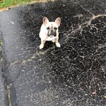 Hunter Morris - @huntermorris0220 - Instagram