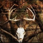 Hunter Morris - Facebook