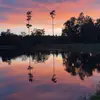 Hunter Morris - @hunter_sc843 - TikTok