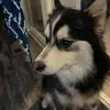 Hunter Morriss - @hunter.morriss7 - TikTok