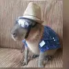 hunternewmanrida - @hunternewman1234 - TikTok