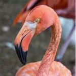 Hunter Newton - @hunter_newton69 - Instagram
