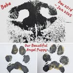 Hunter Nielsen - @boxhead2409 - Instagram