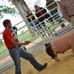 Hunter Nielsen - @hunter.nielsen450 - Instagram