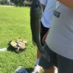 Hunter - @hunternowlin123 - Instagram
