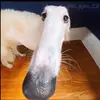Hunter Otte - @hunterotte - TikTok