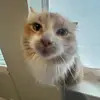 hunter - @otto.hunter13 - TikTok