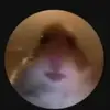 Ott_Hunter2313 - @ott_hunter2313 - TikTok