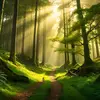 Hunter Ortman - @hunter.ortman - TikTok